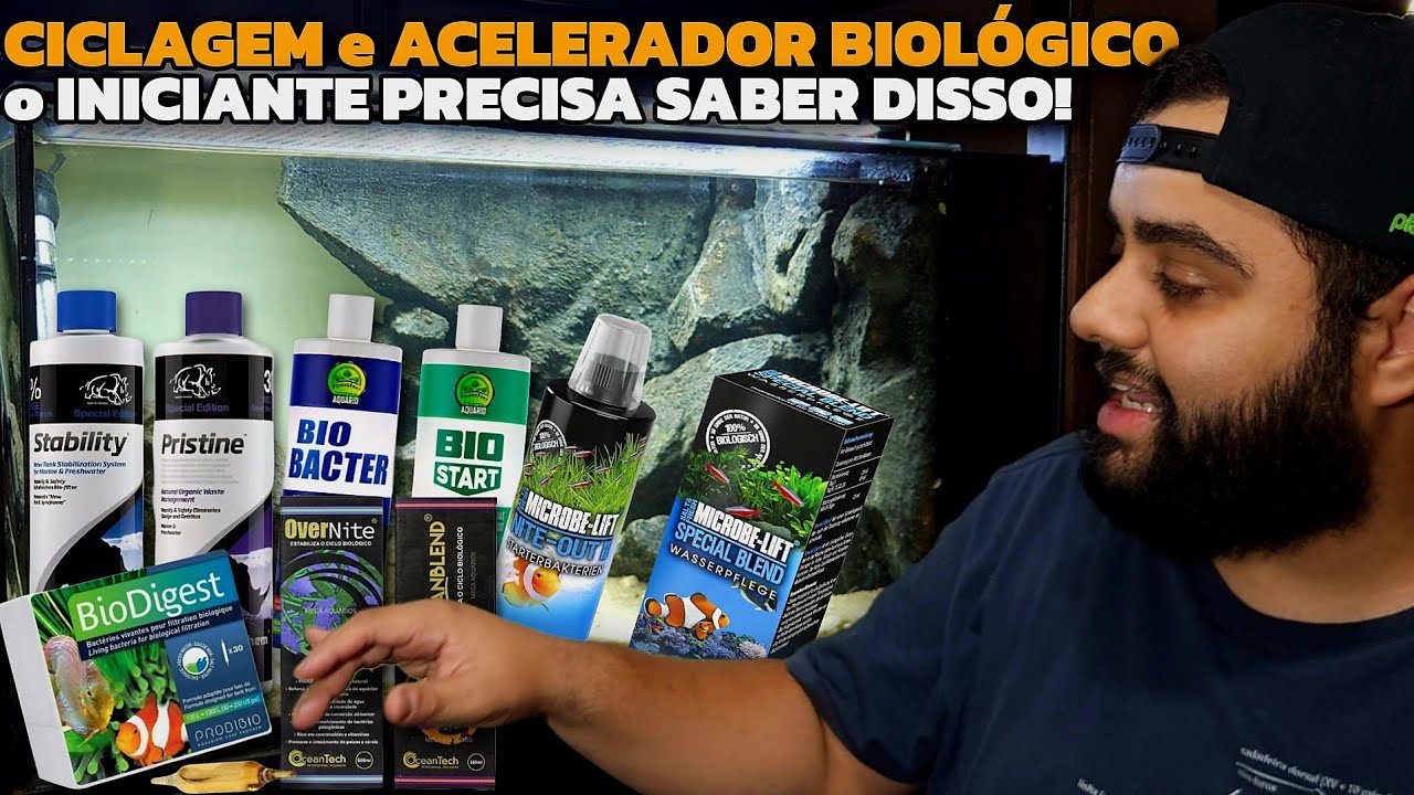 O QUE TODO INICIANTE PRECISA OUVIR SOBRE CICLAGEM E ACELERADOR BIOLÓGICO!