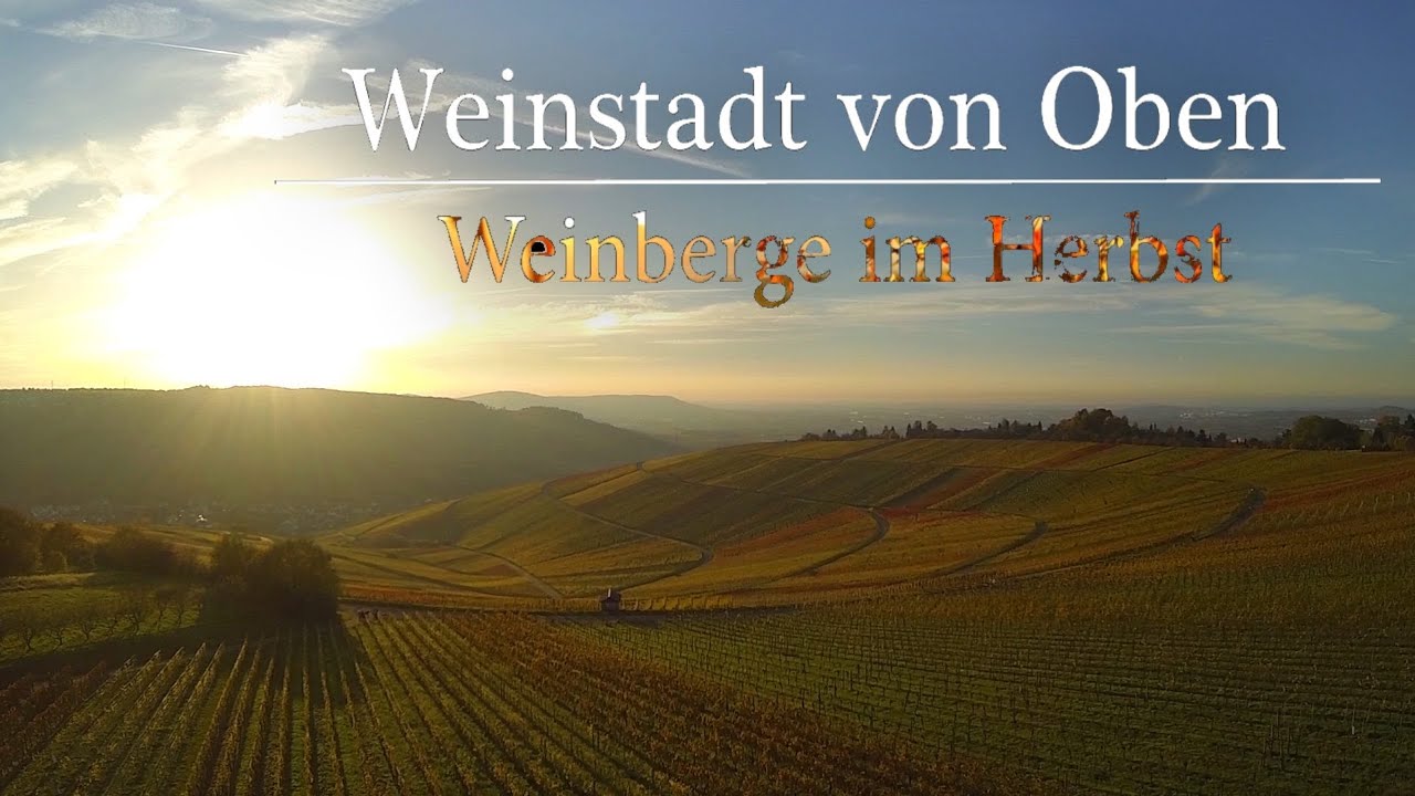 Weinstadt von Oben | Weinberge im Herbst