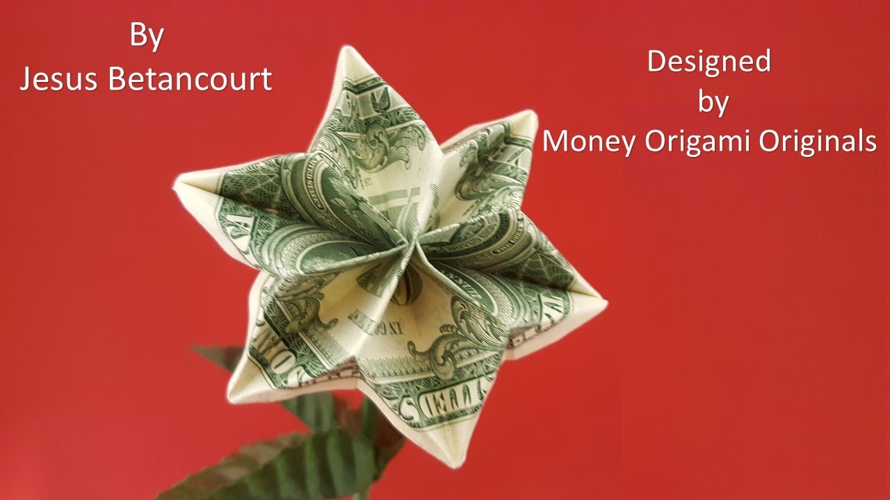 ONE DOLLAR STAR FLOWER 