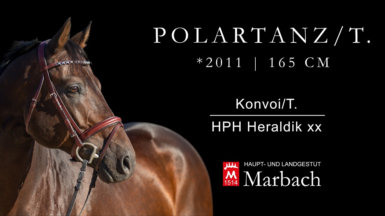 Polartanz/T. *2011 v. Konvoi/T.  - Heraldik xx