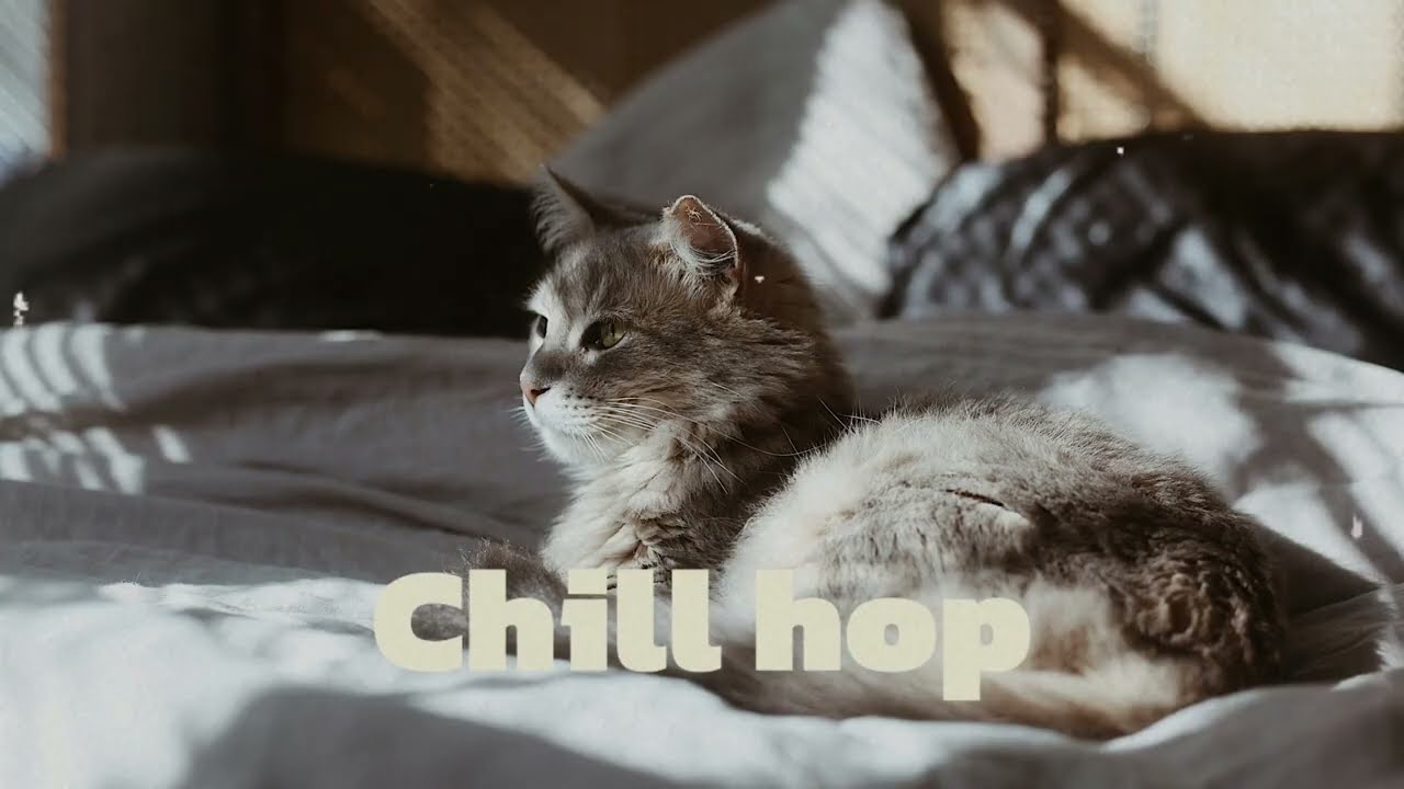 Sunny Day Lo-Fi with a Cute Cat 🐾 | Perfect Background Music for Work, Study & Relax