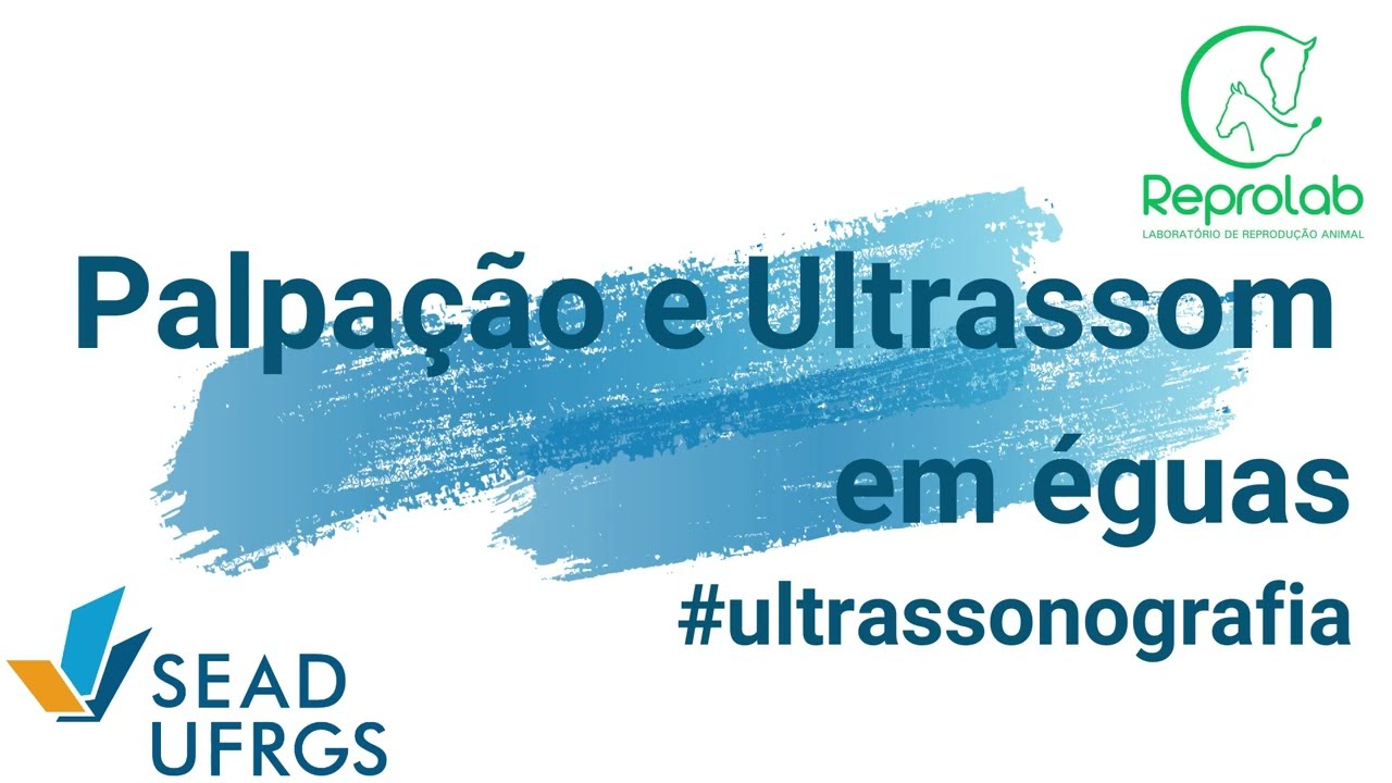 Reprolab | Palpação e Ultrassonografia na Égua