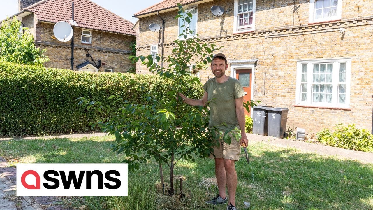 Meet the guerilla gardener who has spent 15 years sprucing up his drab local area | SWNS