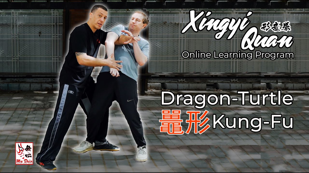 Dragon-Turtle Kung Fu - Xingyi Tuo Applications & Drills #kungfu #xingyi