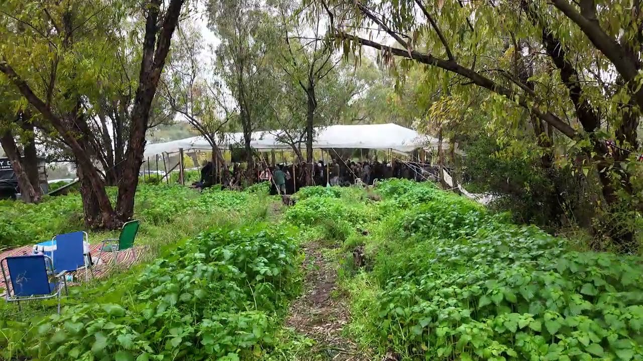Rain, Nature & Pure Vibes | Scucha Party Israel 🌧️🌿