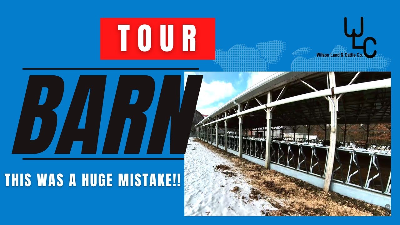 Tour of our Livestock Barn. Think twice before building one.