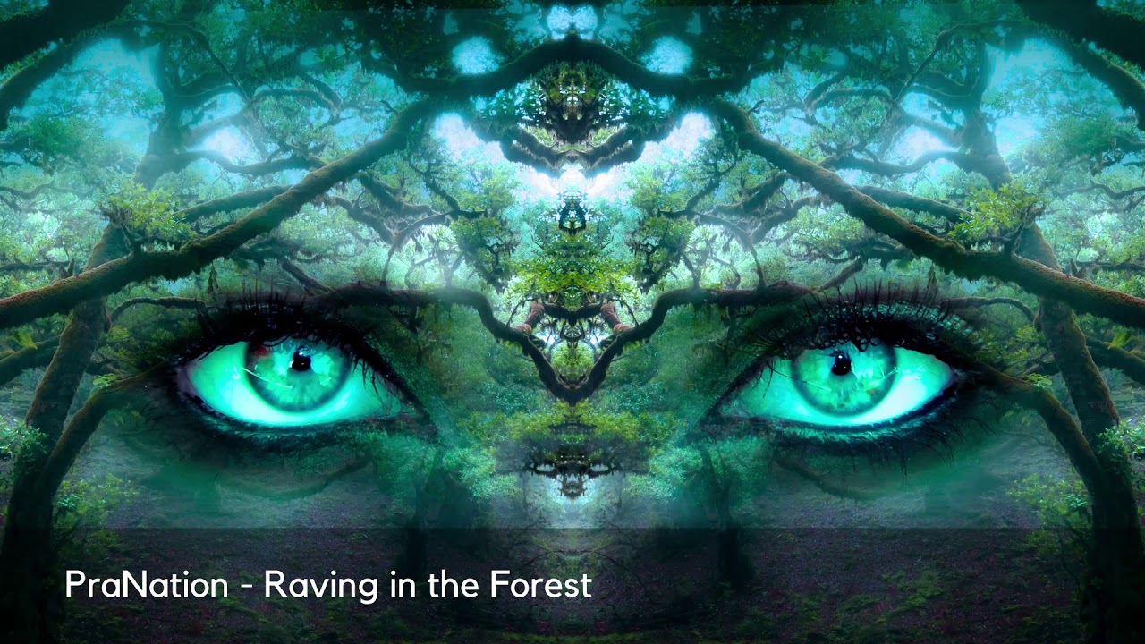 PraNation - Raving in the Forest