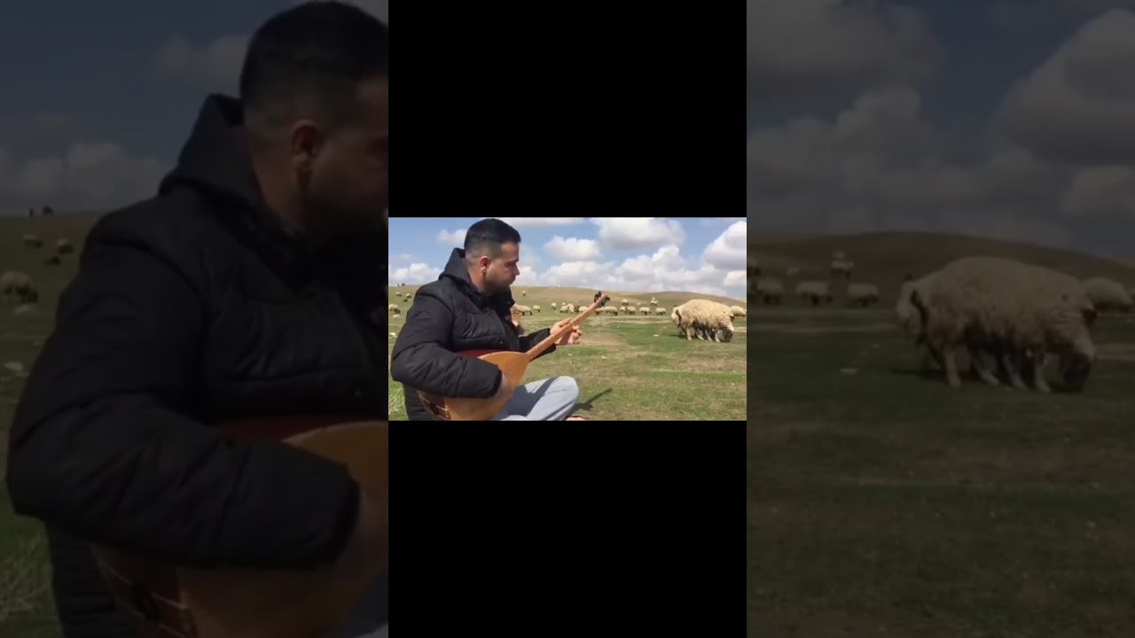KANİWAR REŞO - TEMBURA KURD&Icirc; FOLKLOR #akustik #new #shortvideo #kurdishmusic