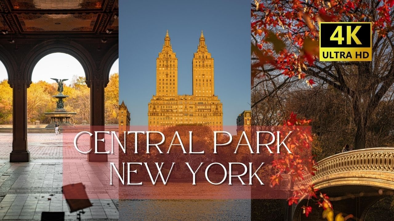 ⁴ᴷ Central Park NYC beautiful sunny morning walking 11/14/2022 New York