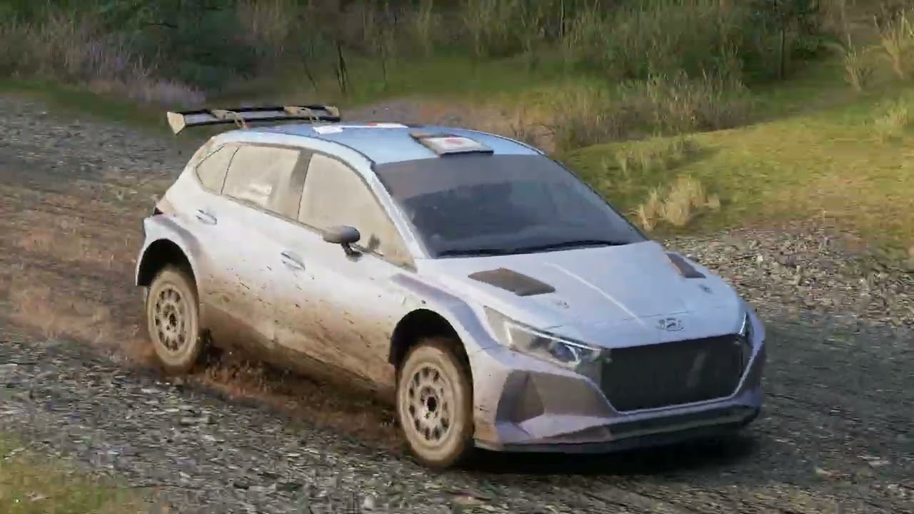 Assetto Corsa Rally Setting Run