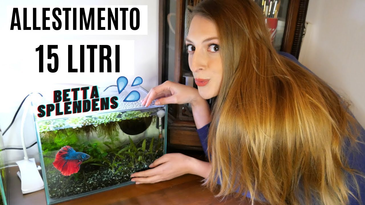 ALLESTIMENTO 15 Litri 💦 per BETTA SPLENDENS