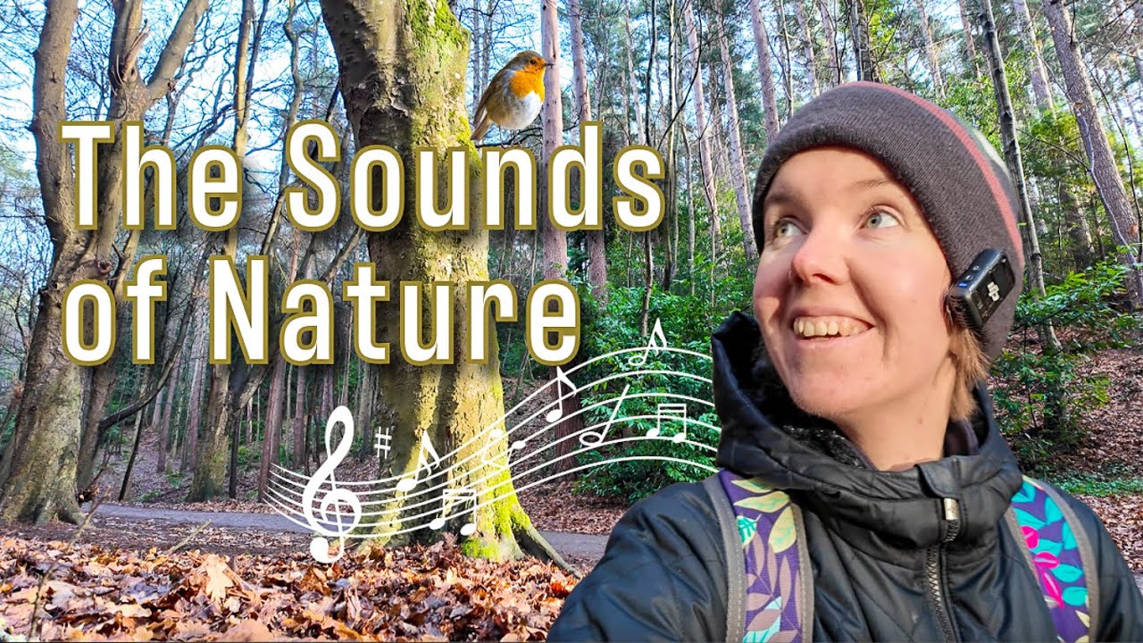 Nature's Beauty Through Photos and Sounds | Immersive Audio-Visual Experience