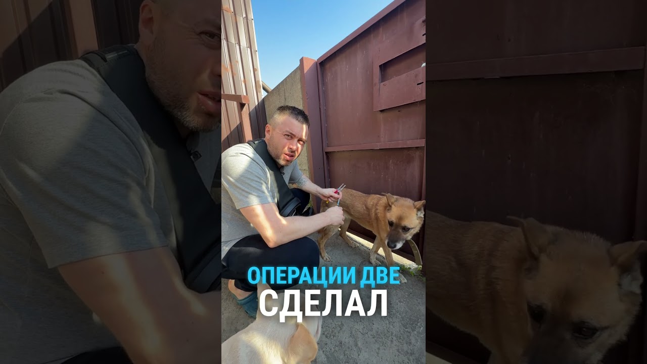 Забота о пожилой Марго 