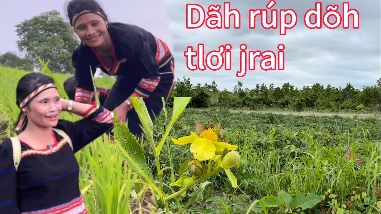 Rơ ngọt ngoạ ngoan đây i