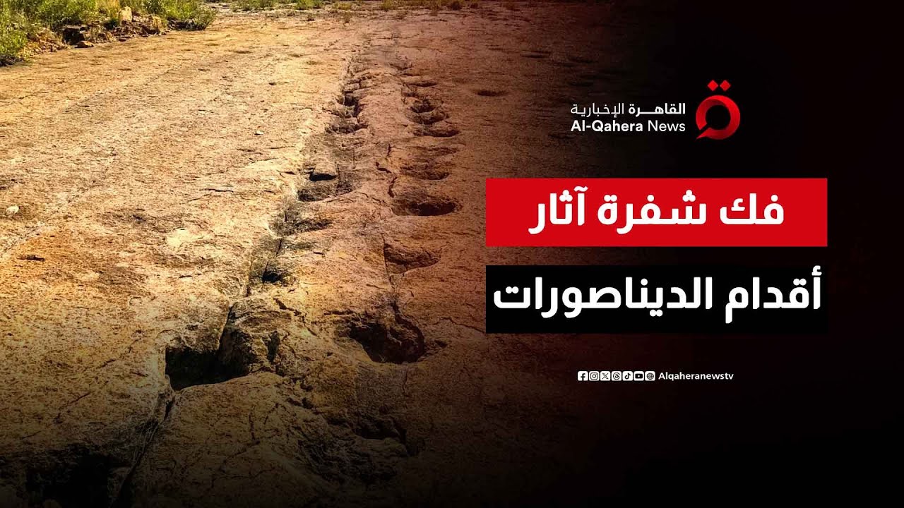الذكاء الاصطناعي يساعد في التعرف على أنواع الديناصورات من آثار أقدامها