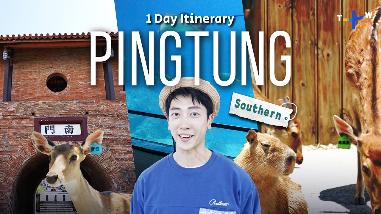 Conservation, Capybaras & Surfing in Pingtung, Taiwan ǀ Whirlwind Trip