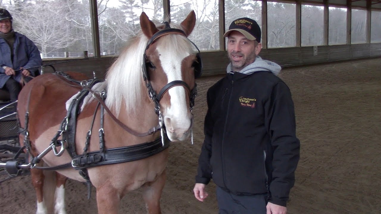 Improve your communication, improve your horse.