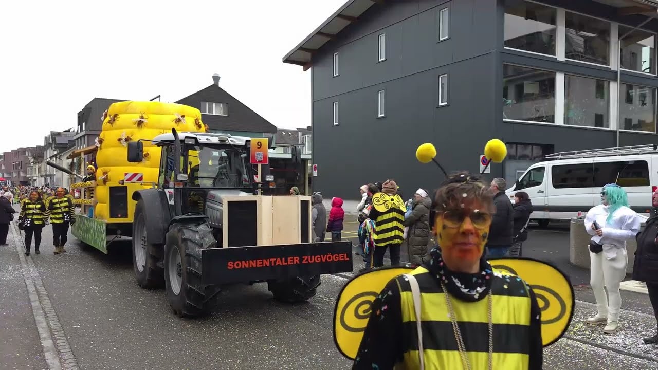 Fasnachtsumzug Gossau 02.02.2025