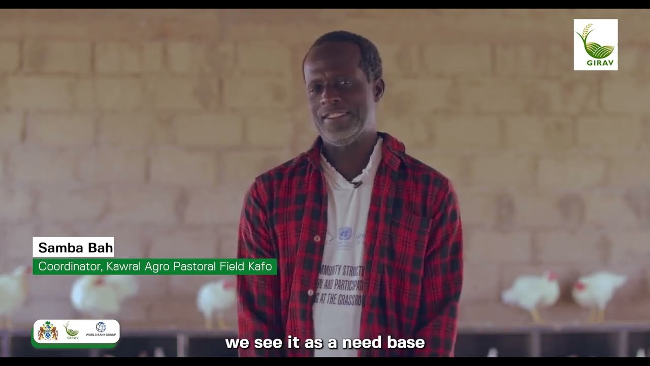 GIRAV Success Story in Njau Sey Kunda | How Gambian Youth Doubled Their Egg Production