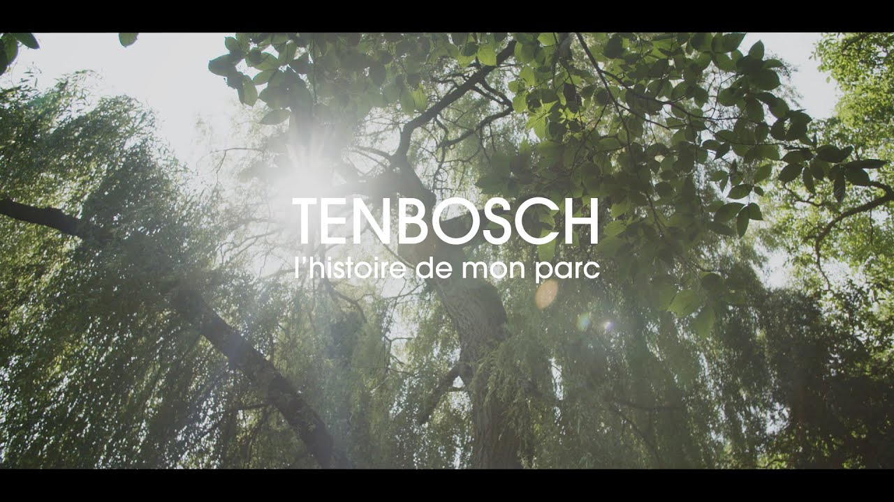 Tenbosch, l'histoire de mon parc