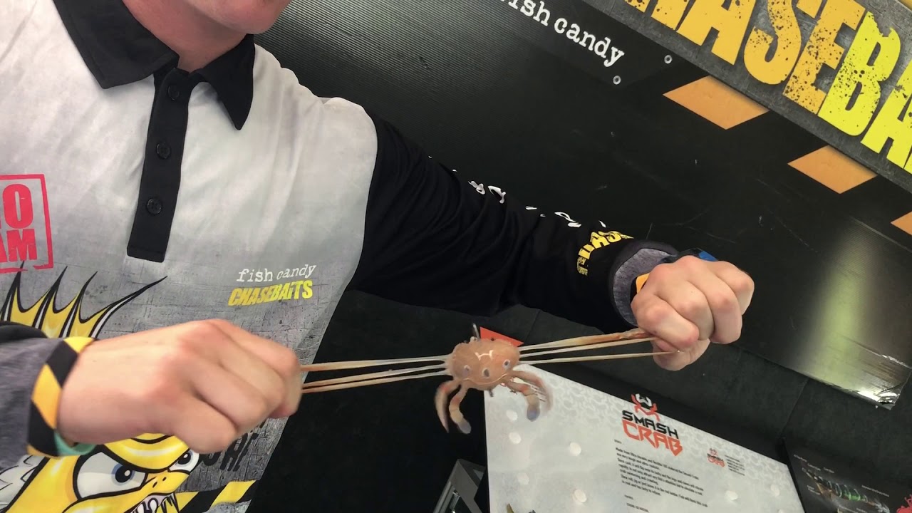 The Smash Crab Lure Strength Test - Crab Lure Review | Chasebaits
