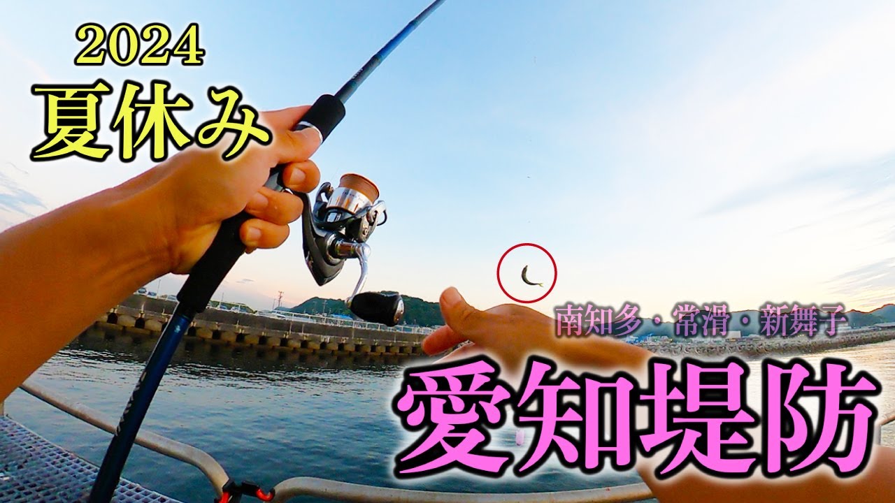 【夏休み】愛知の人気堤防スポット完全ガイド｜釣果UPのコツ＆失敗しない選び方！