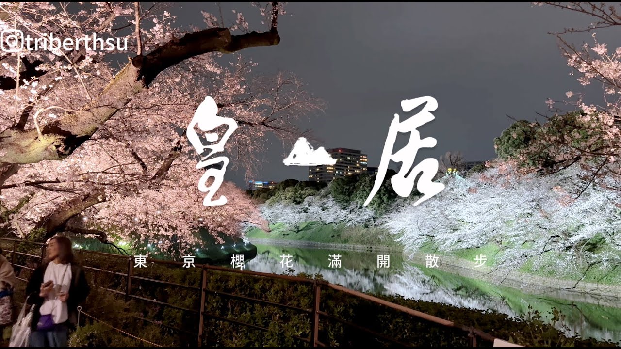 2025 東京櫻花滿開盛宴 千鳥之淵 皇居 日本武道館 靖國神社
