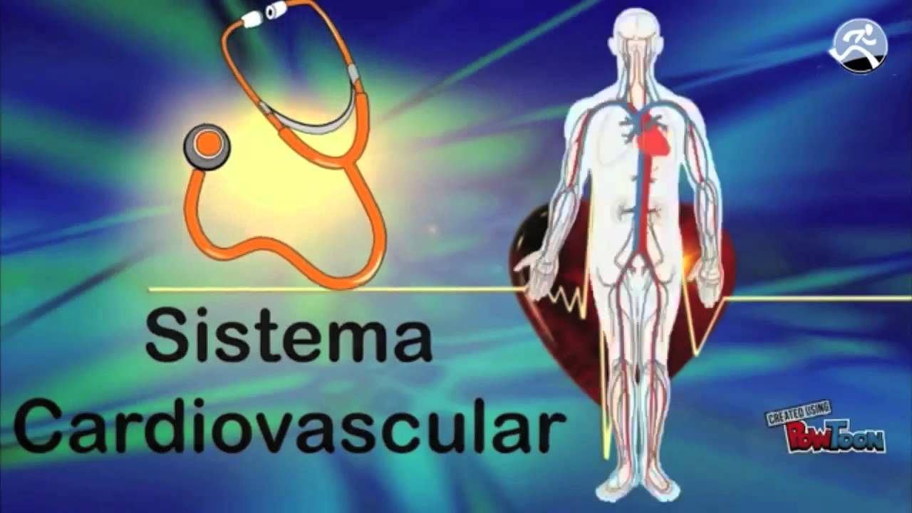 Módulo 2: Determinantes de Salud. Curso Running Saludable 2.0