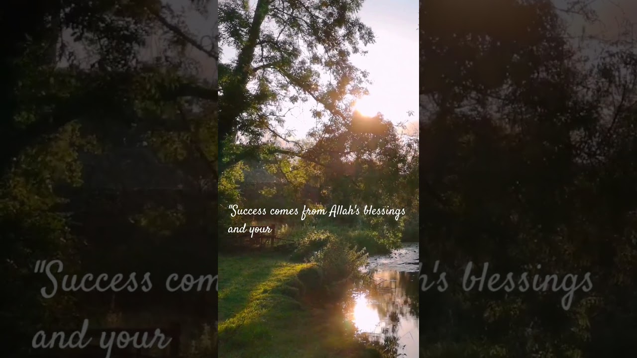 Success with Allah's Blessings #islamicreminder #quote #religion #motivation #islam #deen #success