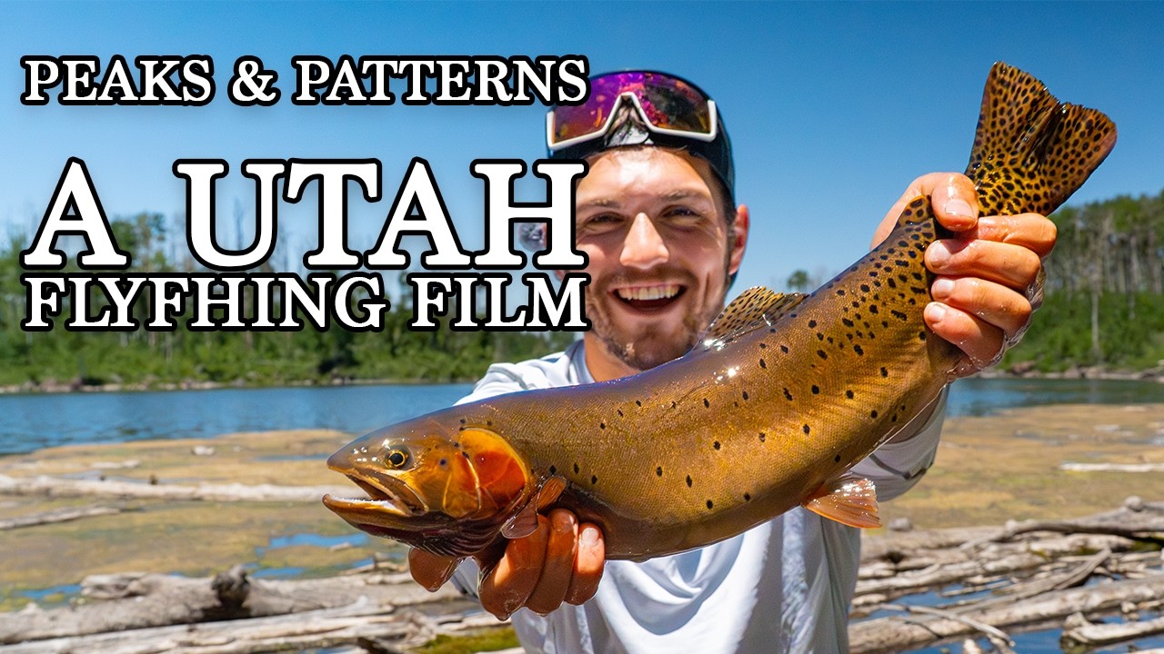Fly Fishing for Wild Trout in Rugged Utah Mountains | Peaks and Patterns