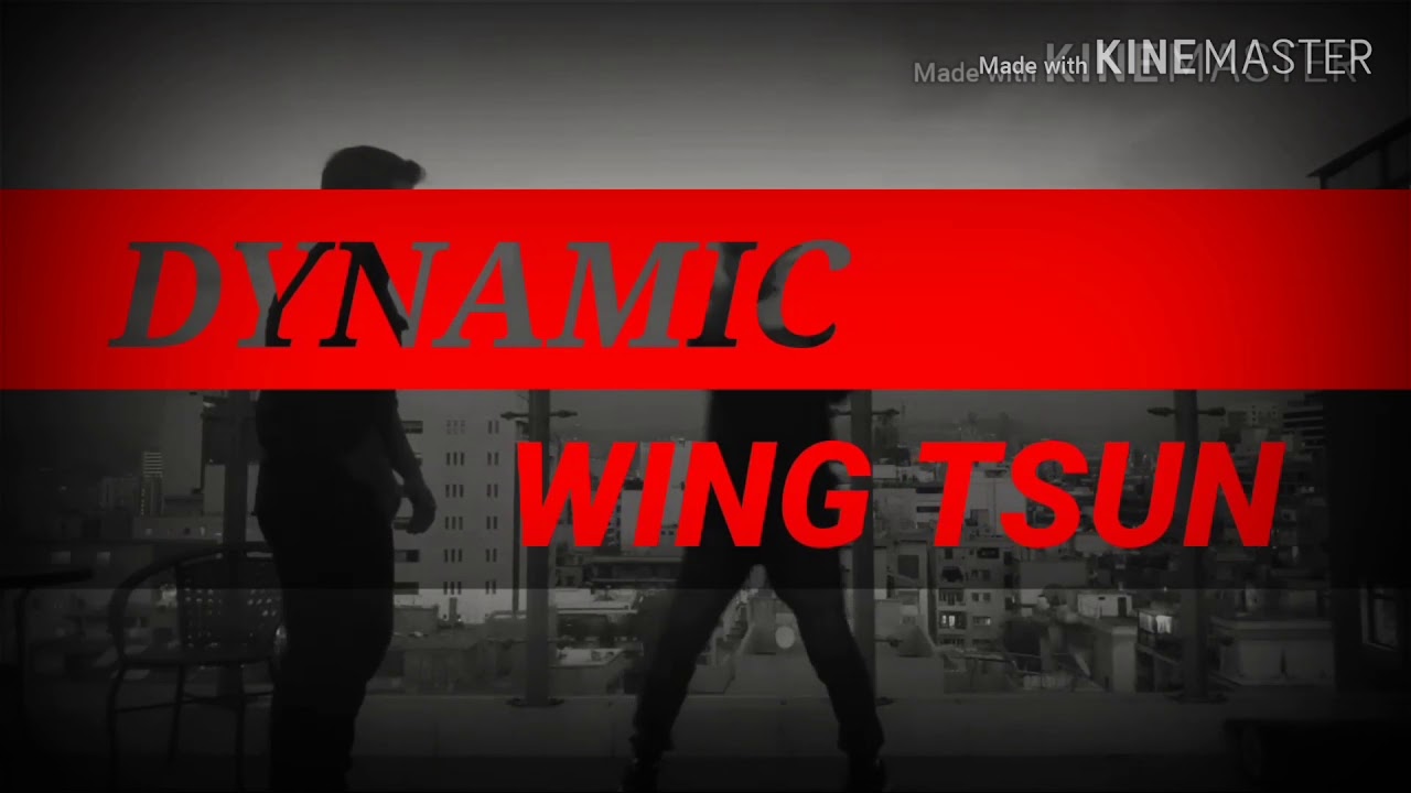 Avci Wing Tsun System