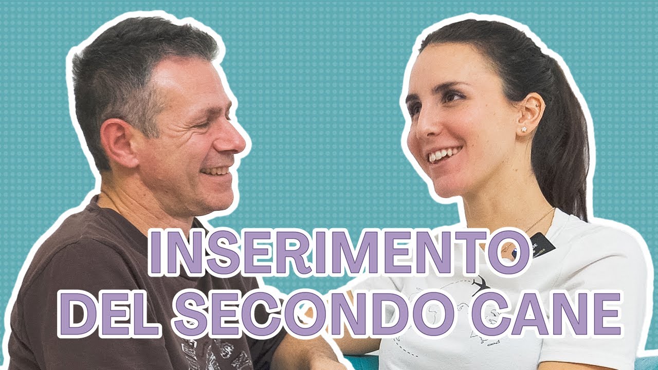 Ep. 12: Prendere un secondo cane: ecco cosa devi sapere