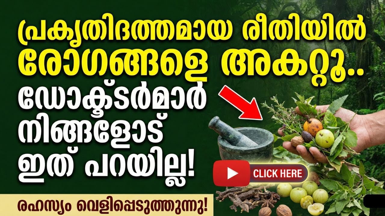 മരുന്നില്ലാതെ 100 വർഷം ജീവിക്കാം | Natural Health Secrets for a Long Life | Malayalam Health Tips