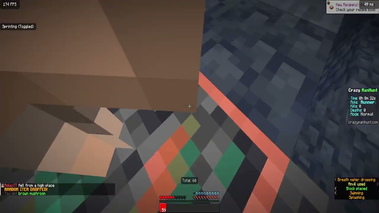 Minecraft Random Item Challenge vs Pro FINALE