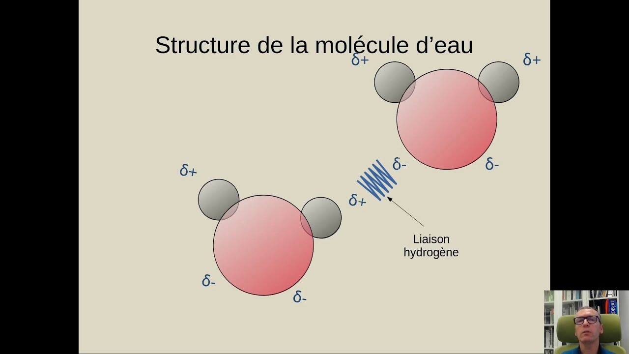 Notions élémentaires d'hydrogéologie et d'hydrologie - Partie 1: le cycle de l'eau