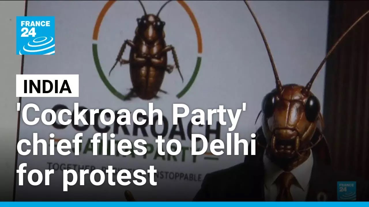 India's 'Cockroach Party' chief flies to New Delhi for protest &bull; FRANCE 24 English