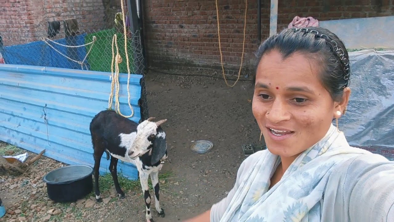 आज खूप आनंदाने व्हिडिओ काढला 👆