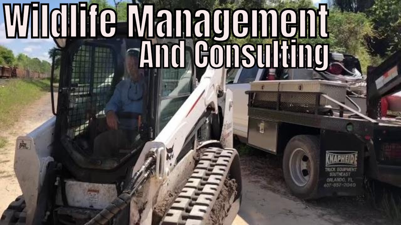 Building Food Plots From Scratch With A Skid Steer Hydro Axe