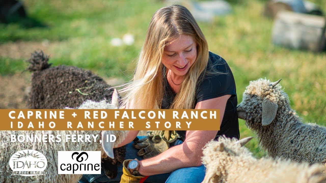 Red Falcon Ranch | Idaho Rancher Origin Story #idahoagriculture
