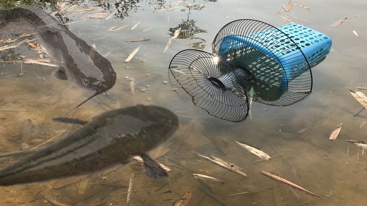 Under Water Fishing Trap - Catch Catfishes By Electric Fan Guard and Basket  Fish Trap