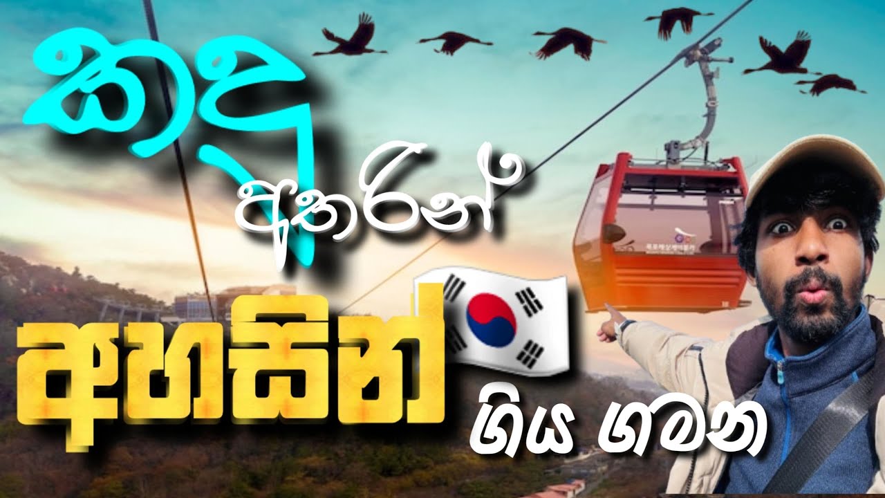 කාලයක් නැව් 🚢නැගල අහසින්🛸 යද්දි පොඩි බයකුත් ඇති උනා යාලුවනේ 😬🇰🇷#travelblog #korea  #1million #viral 