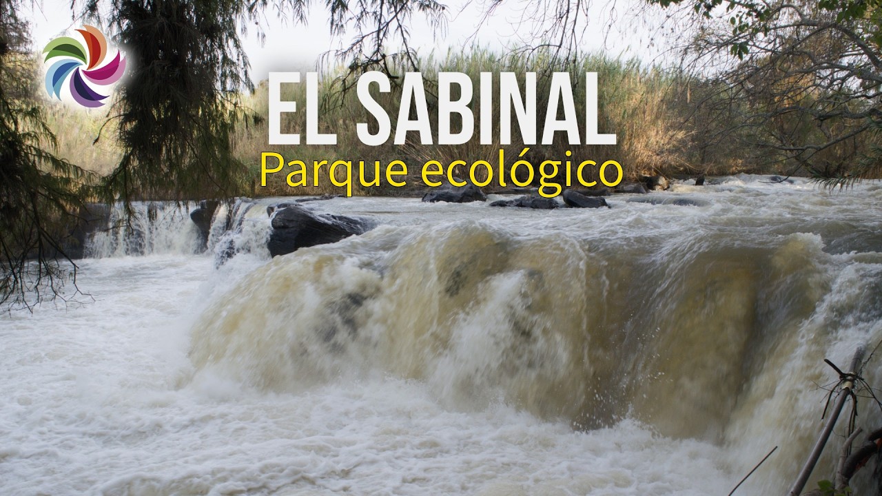 El rincón favorito de las familias en Salvatierra.