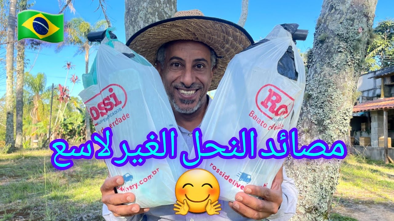 مصائد النحل 🐝 نتائج المصائد التي عملناها للنحل القزم 🤗