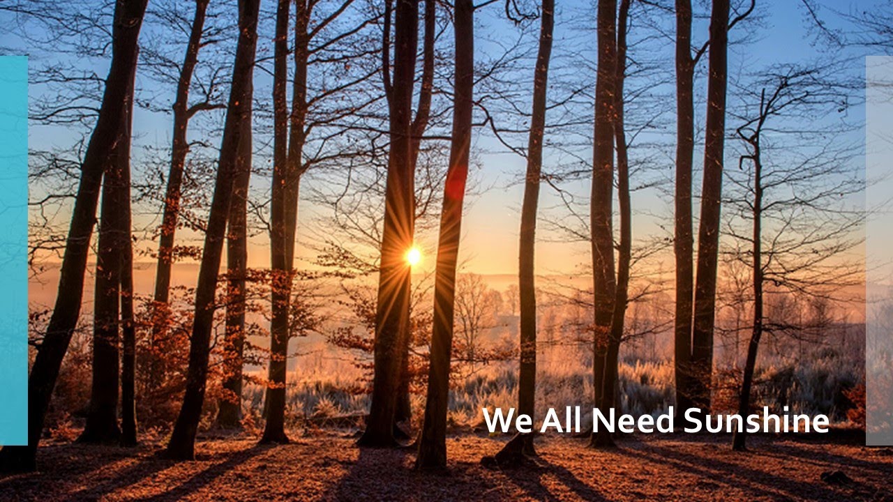 We All Need Sunshine