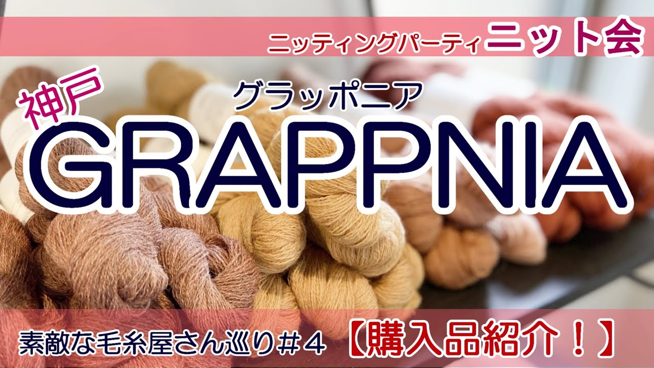 【ニット会】素敵な毛糸屋さん巡り 第４弾！　これ購入しました！