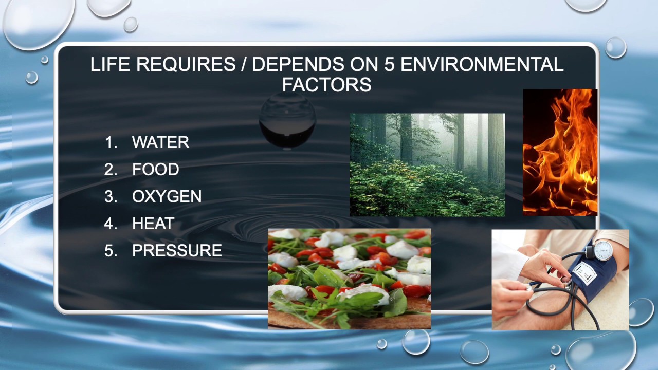 What are the 5 environmental factors that life depends on?