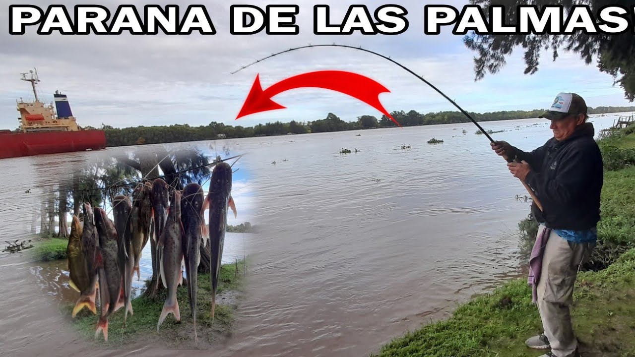 PARANA DE  LAS PALMAS (Mucha pesca) Escobar 15/04/23