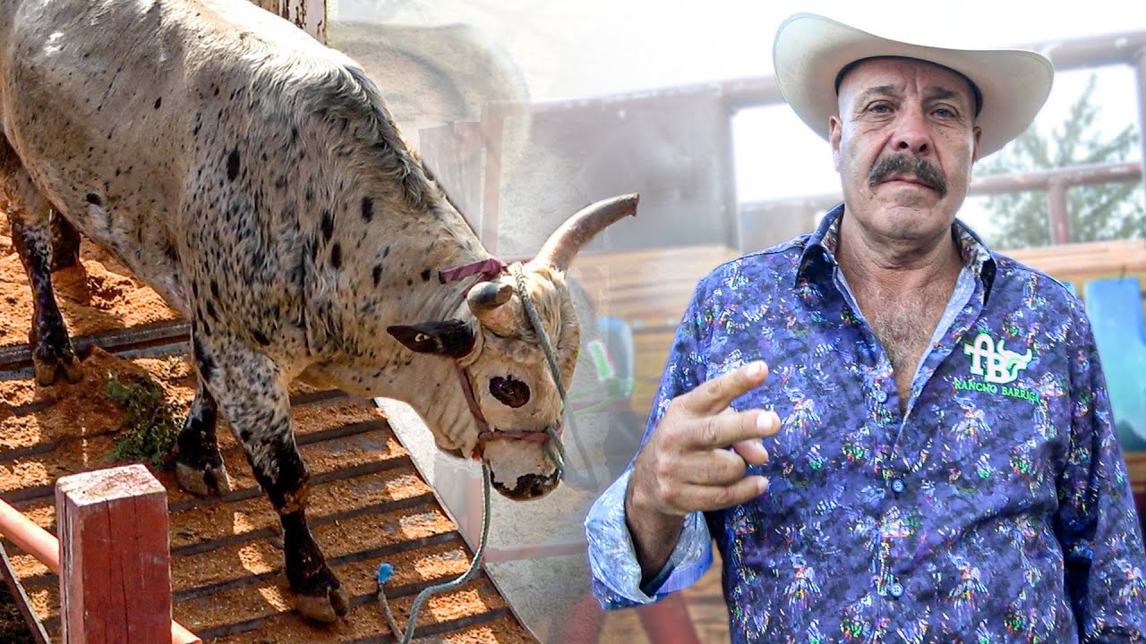 NO HUBO PIEDAD en el ruedo traian puro Transformer poderoso || Rancho Barriga en El Reparo Michoacan