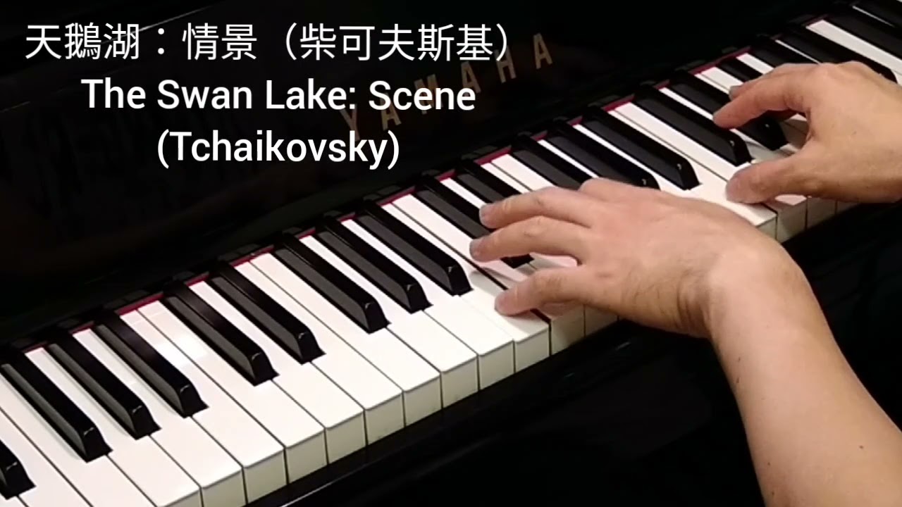 天鵝湖(柴可夫斯基)
The Swan Lake (Tchaikovsky)