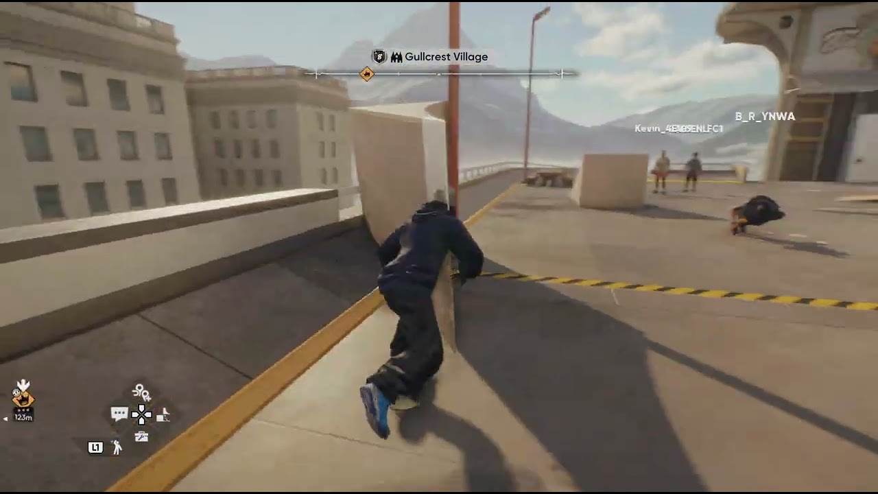 skate._20260117002718